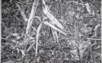 An Emotive Landscape exhibition (POSTPONED)