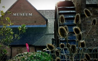 We’re seeking a new Chair of Trustees