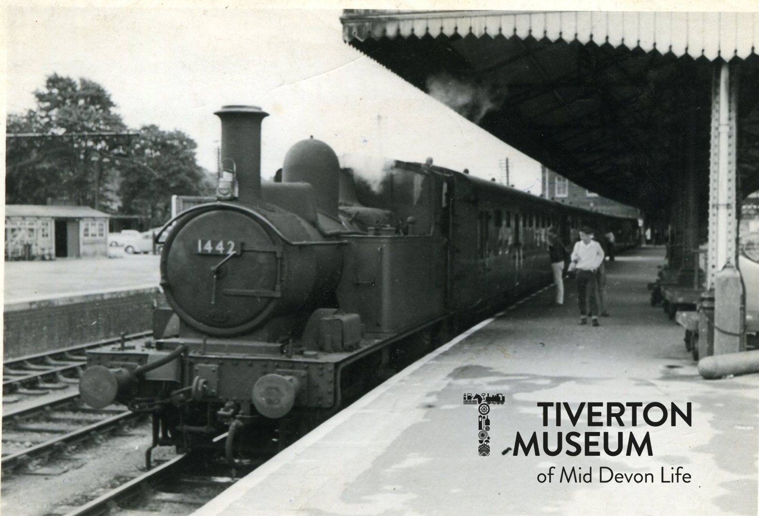 The Tivvy Bumper steam engine at platform 2 in Exeter