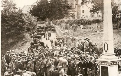 ‘A Thrilling Experience at Culmstock’