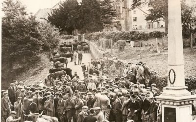 ‘A Thrilling Experience at Culmstock’