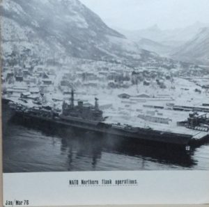 A large military ship docked in a port with a valley and snowy mountains in the background.