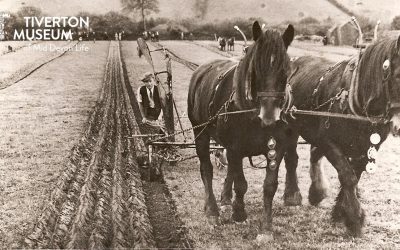 Ploughing On