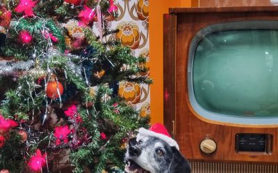 ‘Twas the Night Before Christmas… a Museum Tale