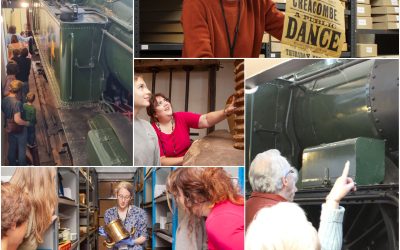 Behind the Scenes at the Museum