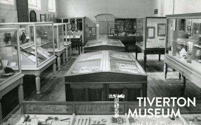 Behind the Scenes at the Museum