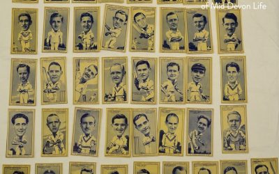 ‘A Cricket Memento’